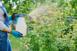 Fertilizer & Crop Protection Chemicals CPC Case Study