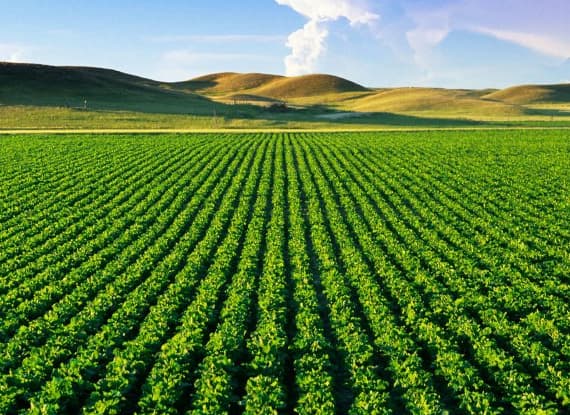 Agriculture logistics case study - cold chain & last-mile delivery